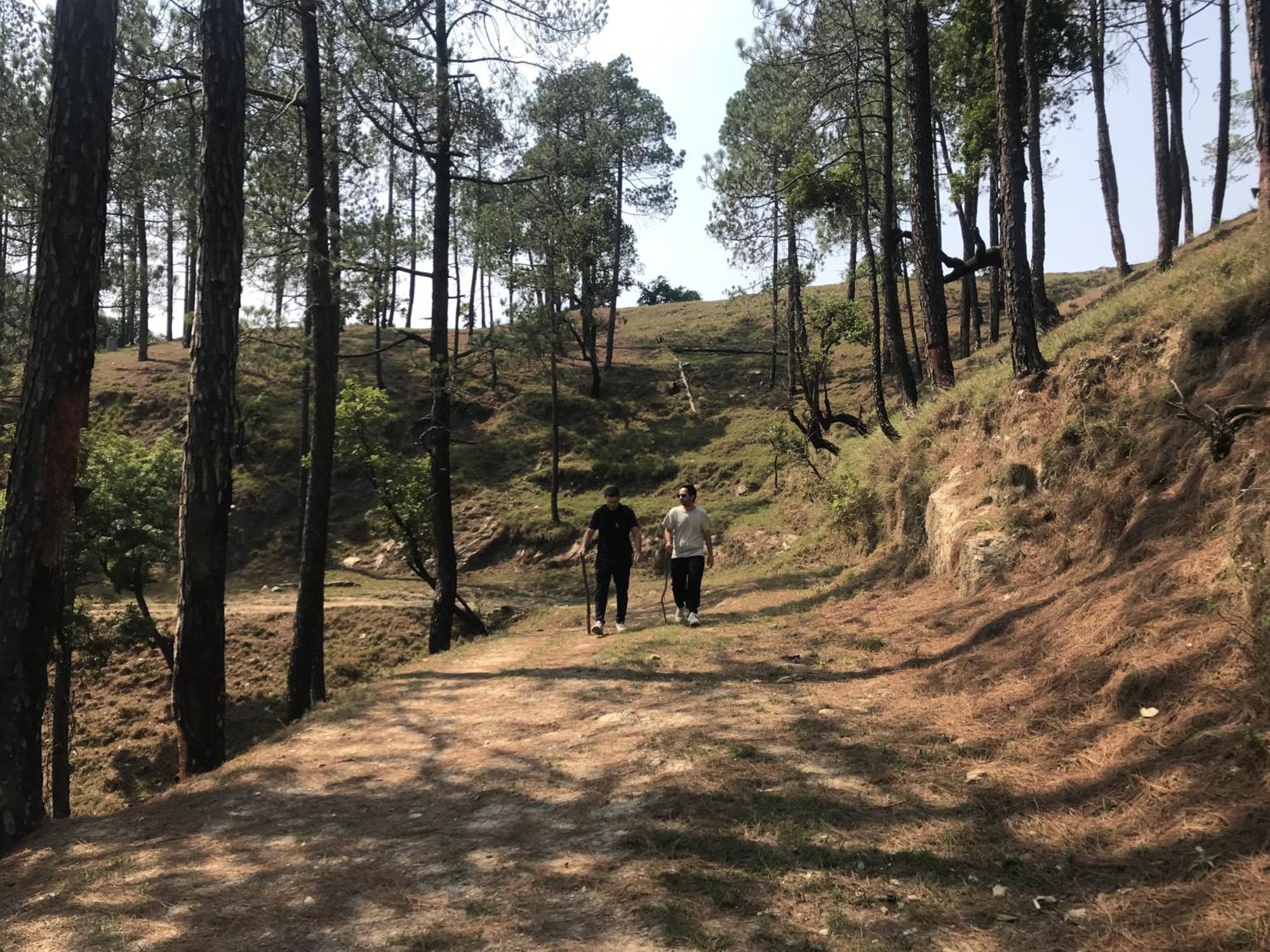 Simba Jungle Lodge, Binsar Wildlife Sanctuary Buitenkant foto