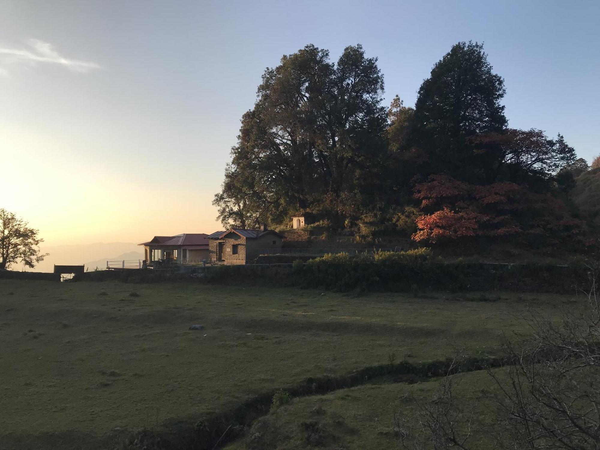 Simba Jungle Lodge, Binsar Wildlife Sanctuary Buitenkant foto