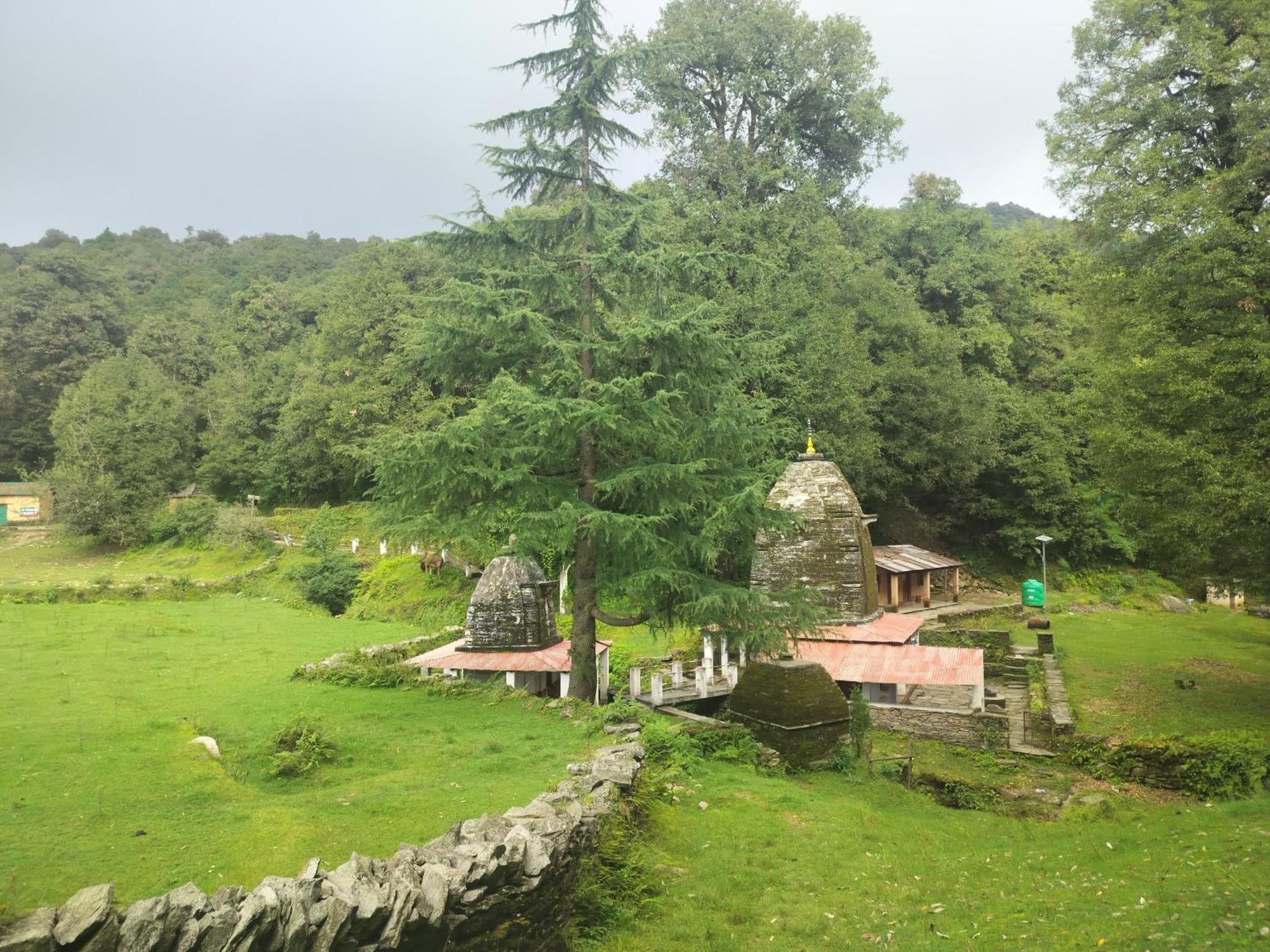Simba Jungle Lodge, Binsar Wildlife Sanctuary Buitenkant foto