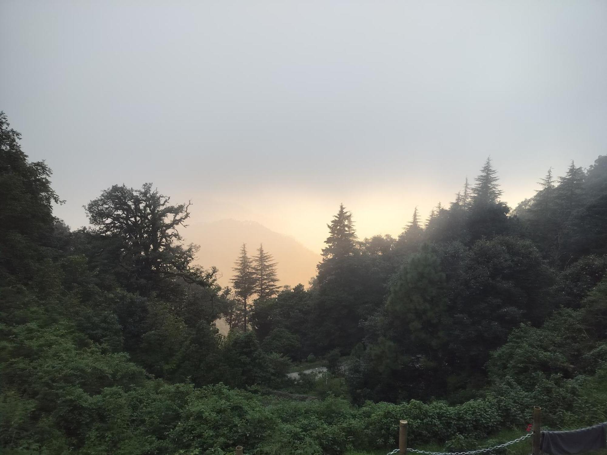 Simba Jungle Lodge, Binsar Wildlife Sanctuary Buitenkant foto