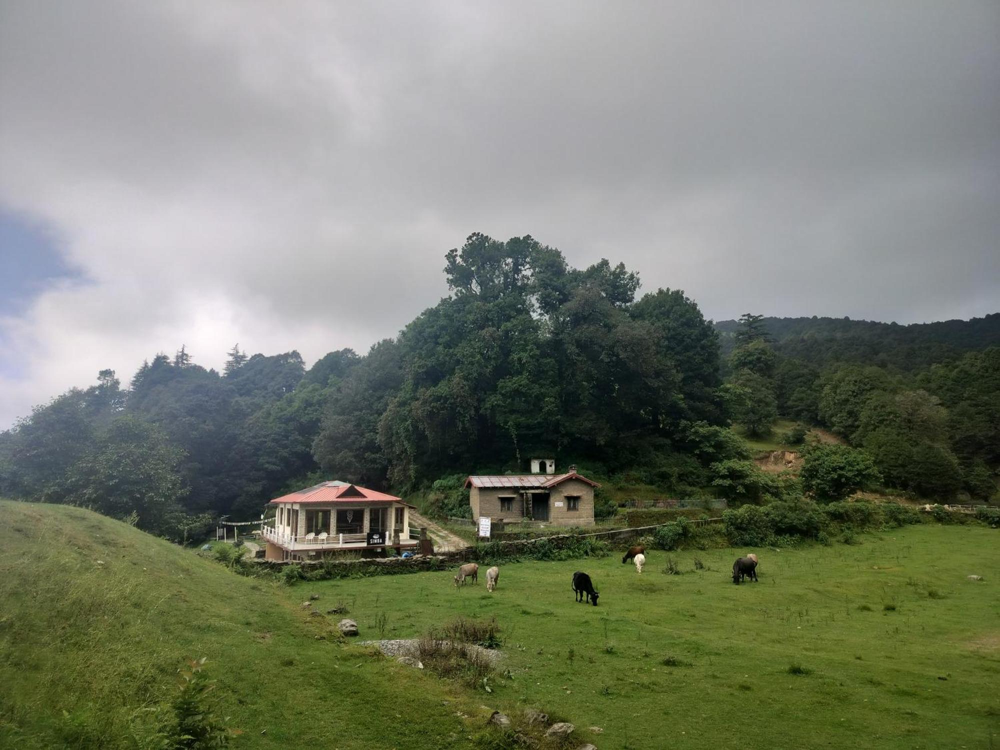 Simba Jungle Lodge, Binsar Wildlife Sanctuary Buitenkant foto
