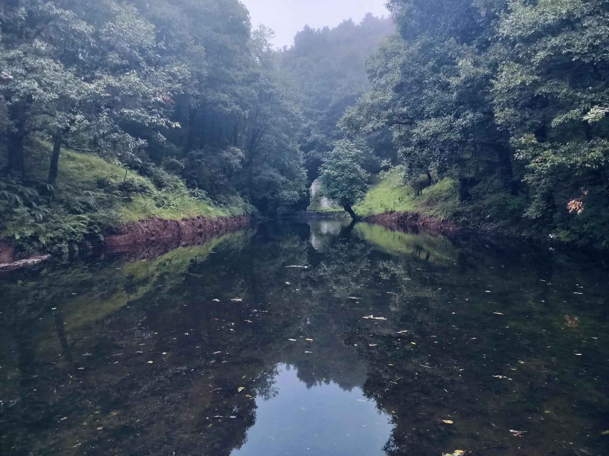 Simba Jungle Lodge, Binsar Wildlife Sanctuary Buitenkant foto